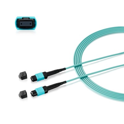 Сетевое оборудование Zyxel MPO-10M MPO-10M-ZZ0101F Сетевое оборудование Zyxel MPO-10M MPO-10M-ZZ0101F